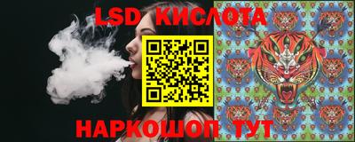 спайс Шелехов