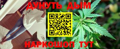 сатива Шахты