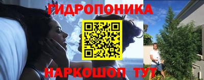 сатива Шахты