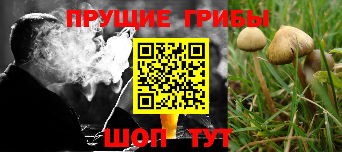 Дзержинск  Галлюциногенные грибы Magic Shrooms  Псилоцибиновые грибы прущие грибы  Вход с VPN 